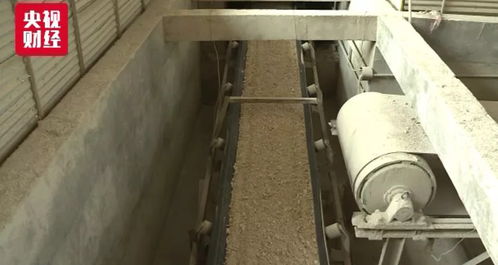 石家莊油價再調整，汽車“換口糧”背后的生物化工新動向